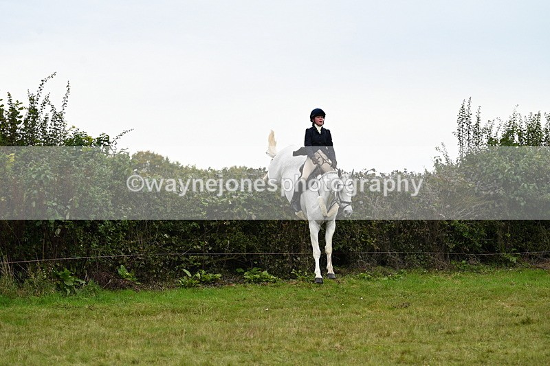 WJ7_4078 - Camera 1 Line 2