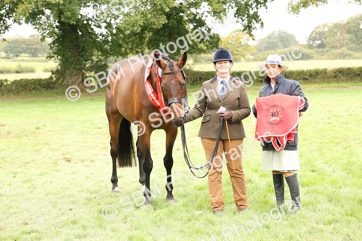SBM_60865 - In Hand Horse Supreme Championship