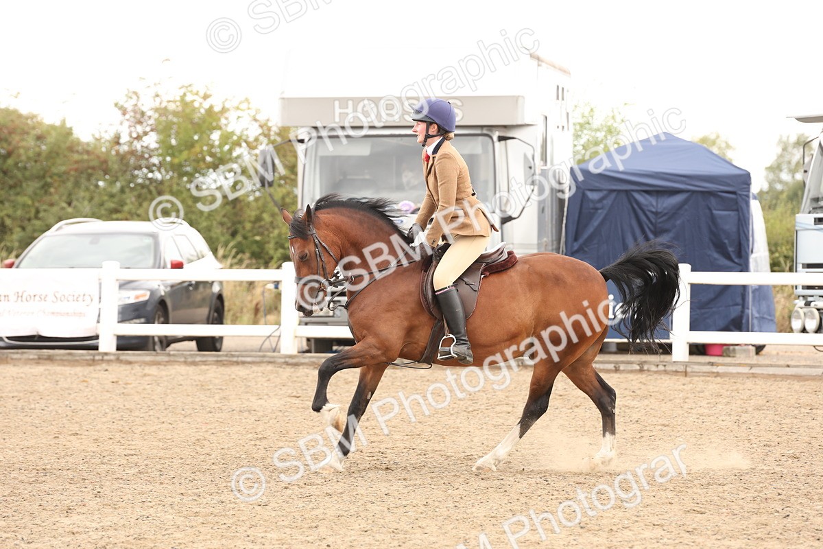 SBM_06715 - Class 58a -  Style & Performance - 70cm (15-19)