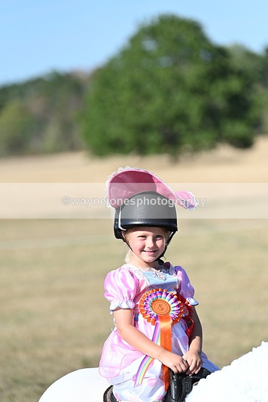 WJ7_2901 - Class 45 Fancy Dress (My Fav)