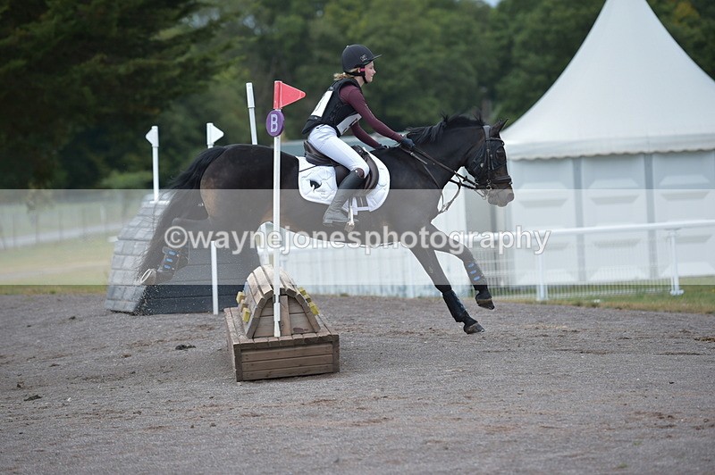 NGP_2013 - XC Time 11:20 to 11:36