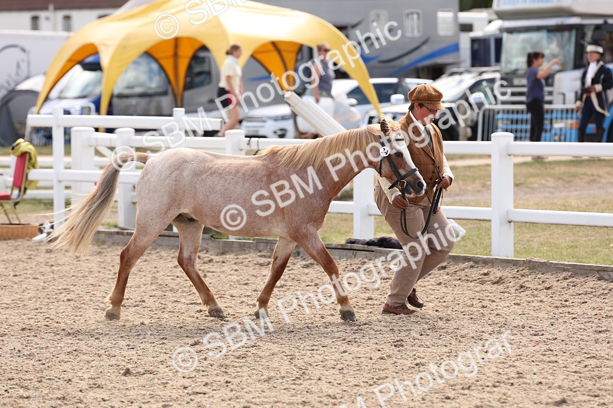 SBM_15055 - Class 209 - IH Veteran Pony