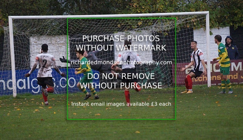 DSC02360 - Runcorn Linnets