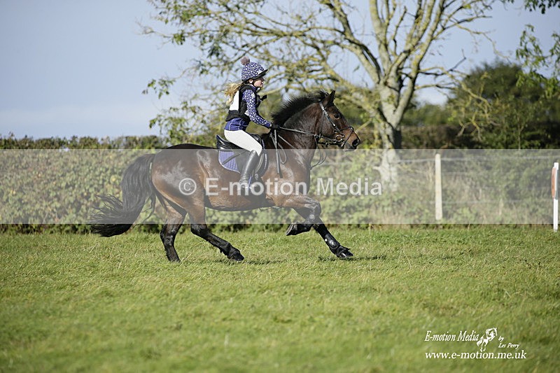  WWHT 031021 1289 - Open Novice (0.80m) 03/10/21