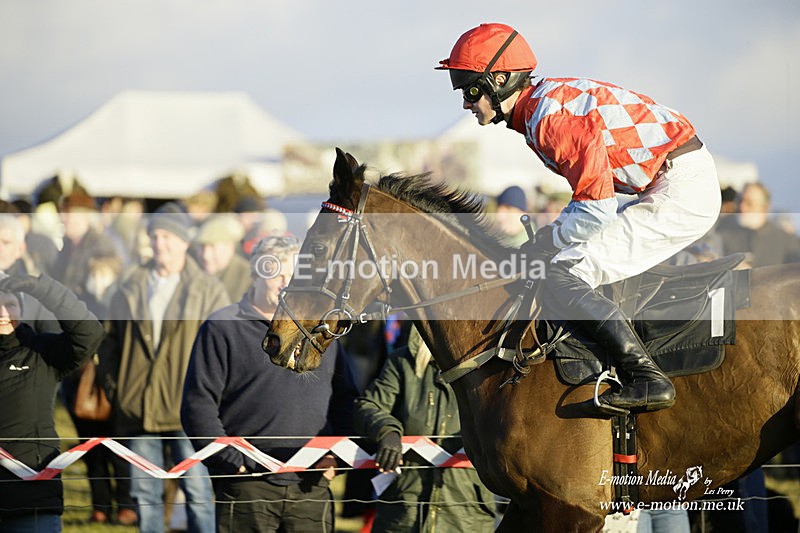 PtP 300122 703 - South Dorset Hunt - Point-to-Point Races 30/01/2022