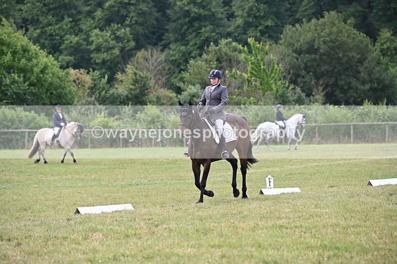 WJ6_5942 - Time 09:46 to 10:26