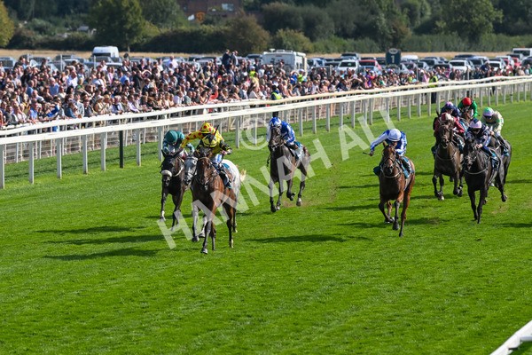220825-Race 5-Cape Flora-7642 - Race 5 4.10pm Assured Data Protection EBF Fillies' Handicap