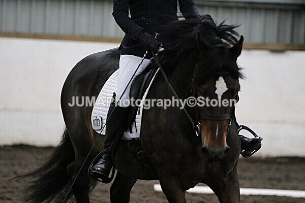 SIAL3877 - CAbin Dressage 5th july 2025