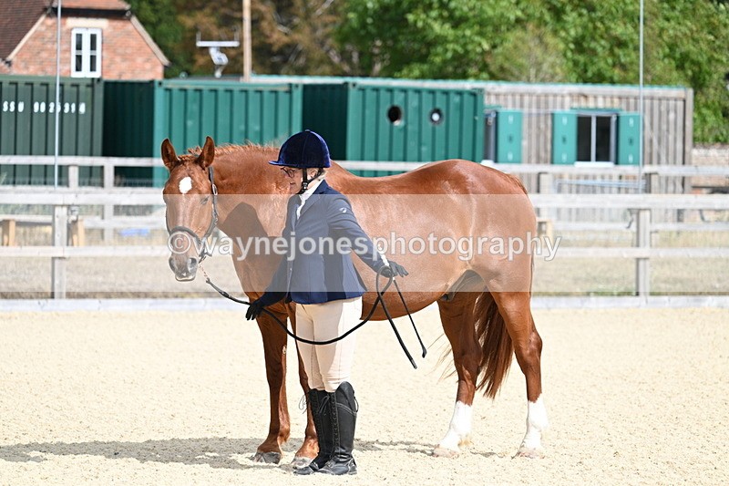 WJ7_2041 - In Hand