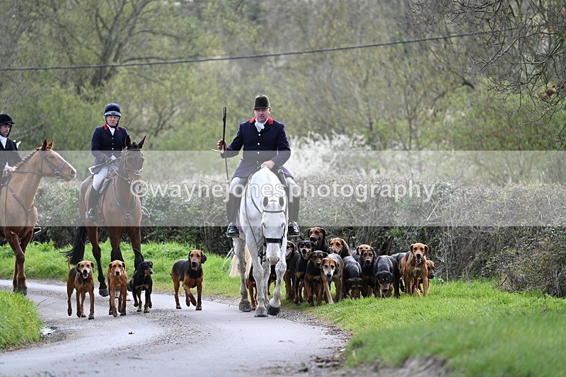 WJ7_9757 - Walk Home