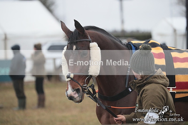 PtP 260125 394 - Cocklebarrow Point-to-Point racing with the Heythrop Hunt 26/01/25