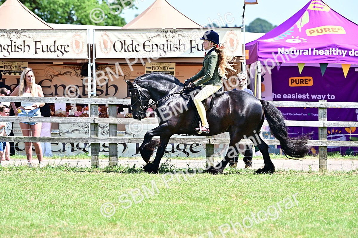 SBM_15325 - Class 95-97 - BSPS LHS Performance Ponies