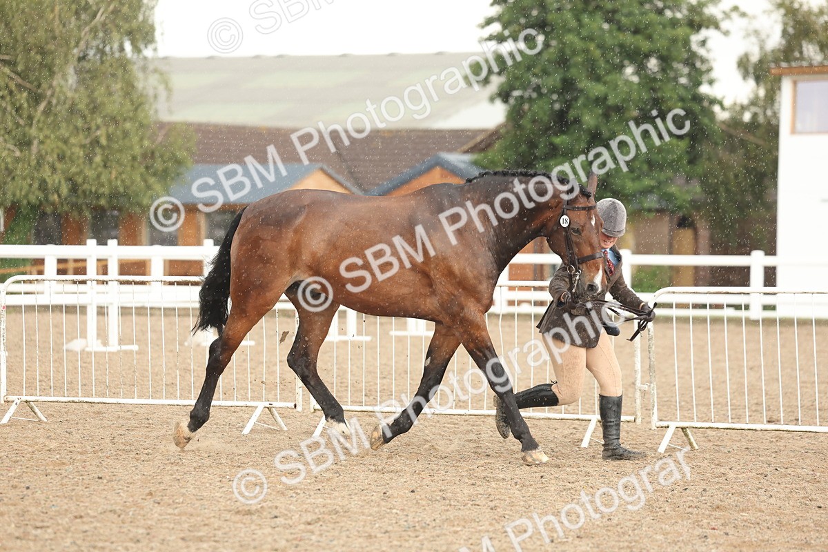 SBM_07718 - Class 27 - IH Competition Horse/Pony