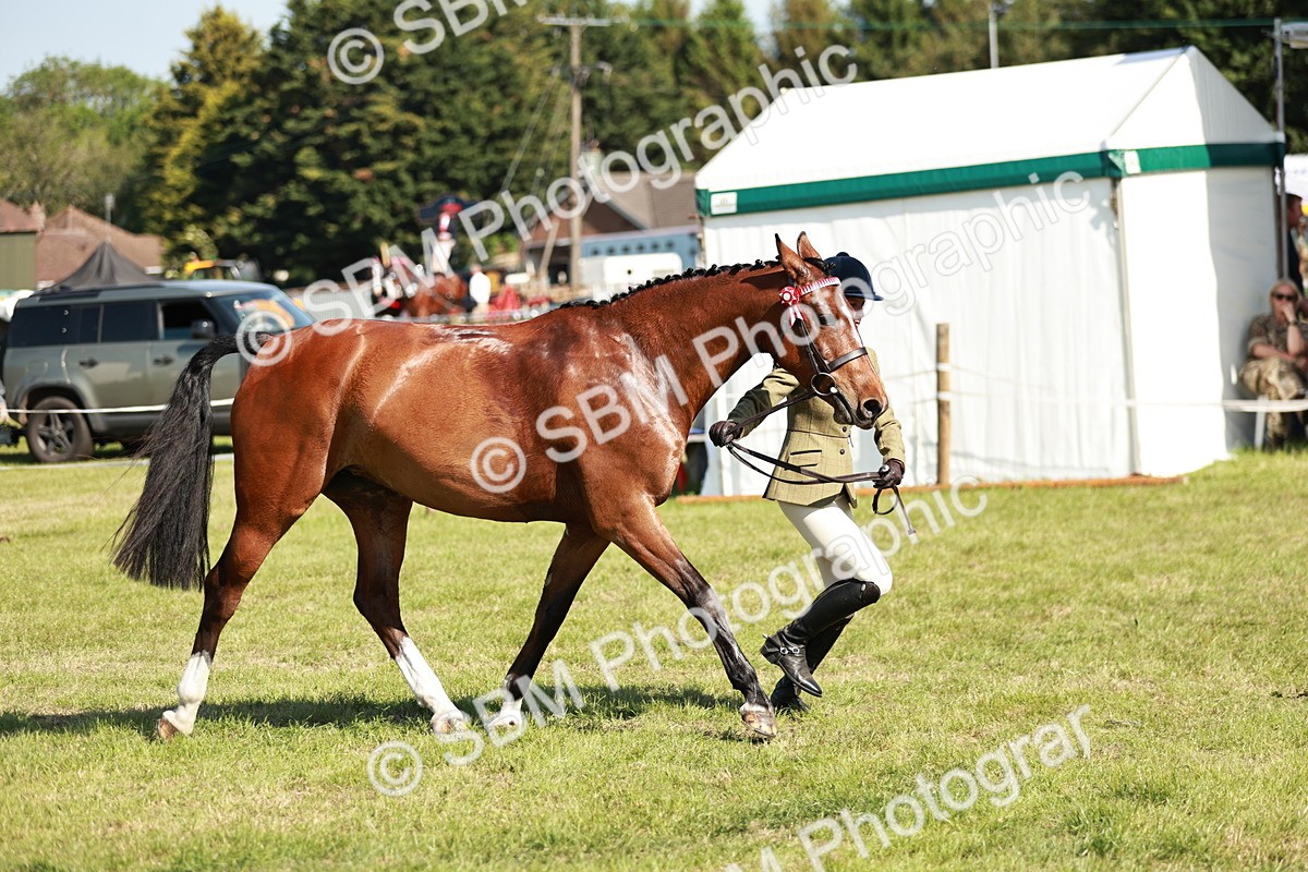 SBM_18936 - Class 114 - RIHS & SEIB Open Working Show Horse