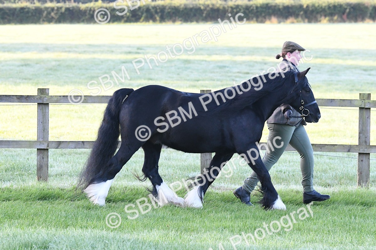 SBM_32568 - S15 - Condition & Turnout In Hand