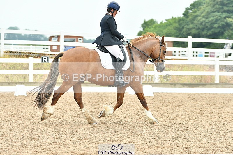 230708A-135154-02852 - Elementary 43