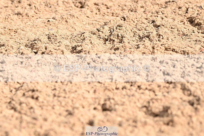 240324A-101849-00893 - Prelim 12, Start to 10.30