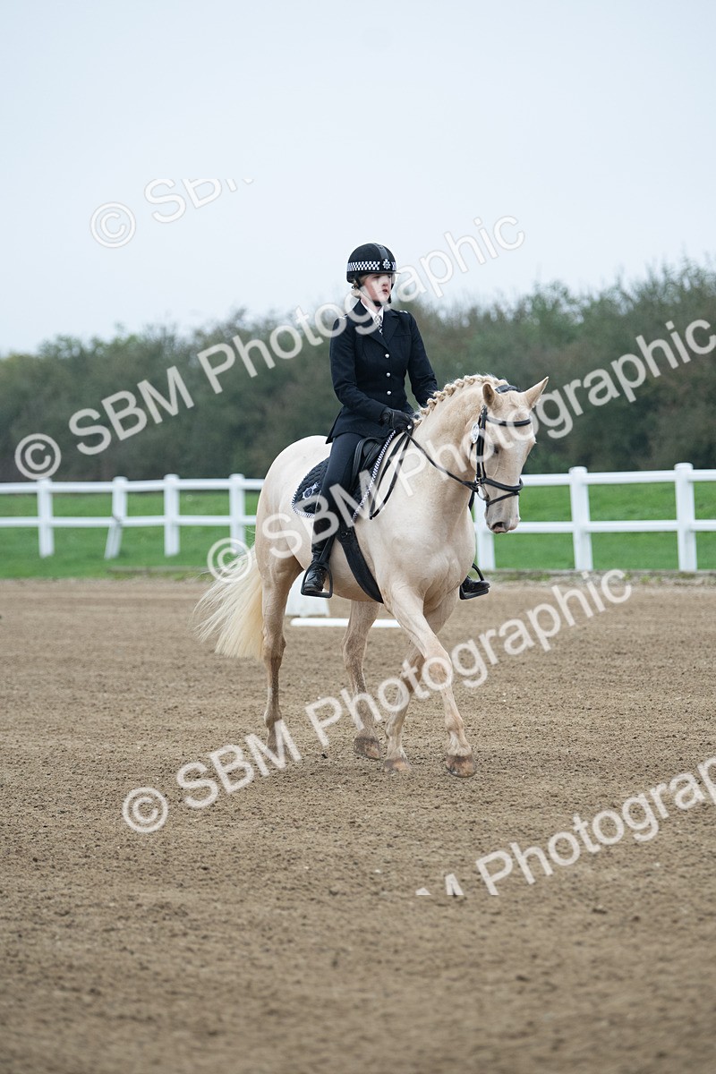 SBM_003324 - Introductory Test 3