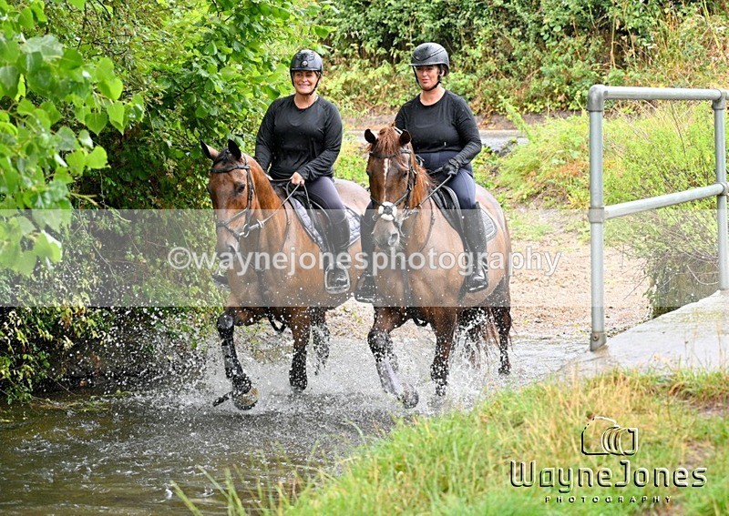 WJ7_8574 - Edited examples