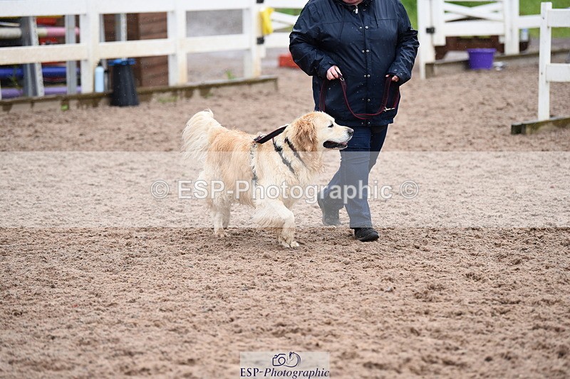 240518A-133904-01341 - Cls 9 Best in Show