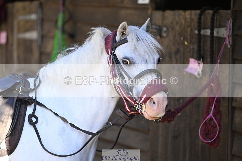240728B-093147-00040 - Sunday Stable Shots and Fancy Dress