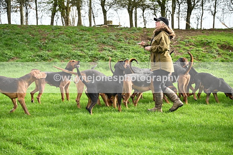 WJ6_9204 - Line Three