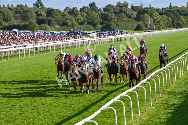 240824-Race 7-Sir Busker-1954 - Race 7 5.20pm Sky Bet Finale Handicap