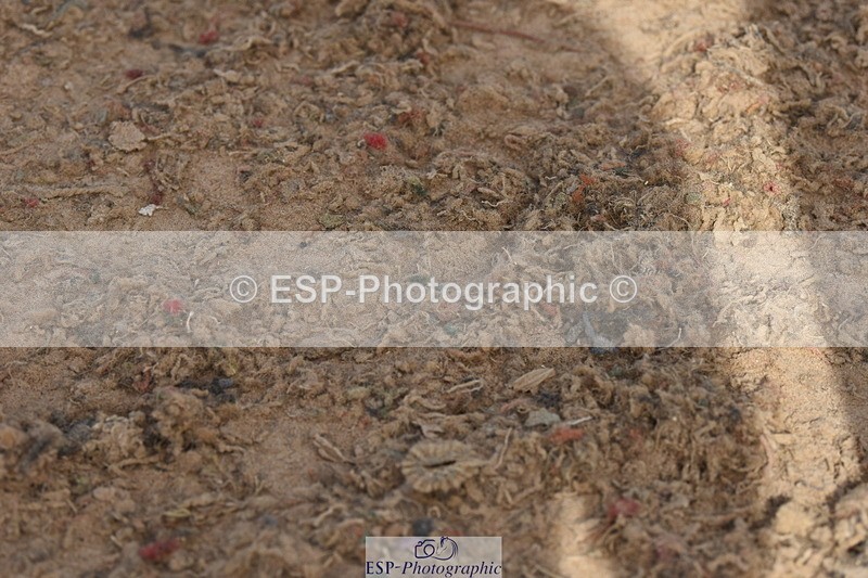 230906A-111110-00139 - Discovery & 1m Open