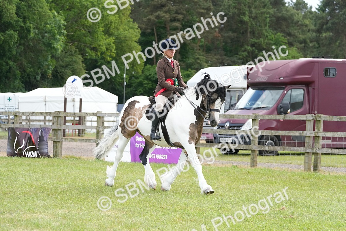 SBM_17348 - Class 107-108 - LIHS BSPS Performance Coloured Horse Pony