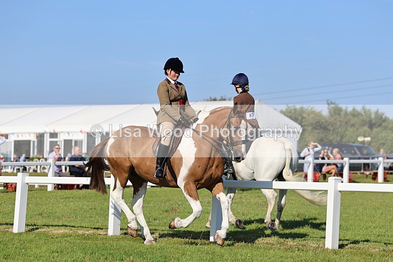 IMG_1457 - Class 29:  Ridden Native/Trad Coloured Horse