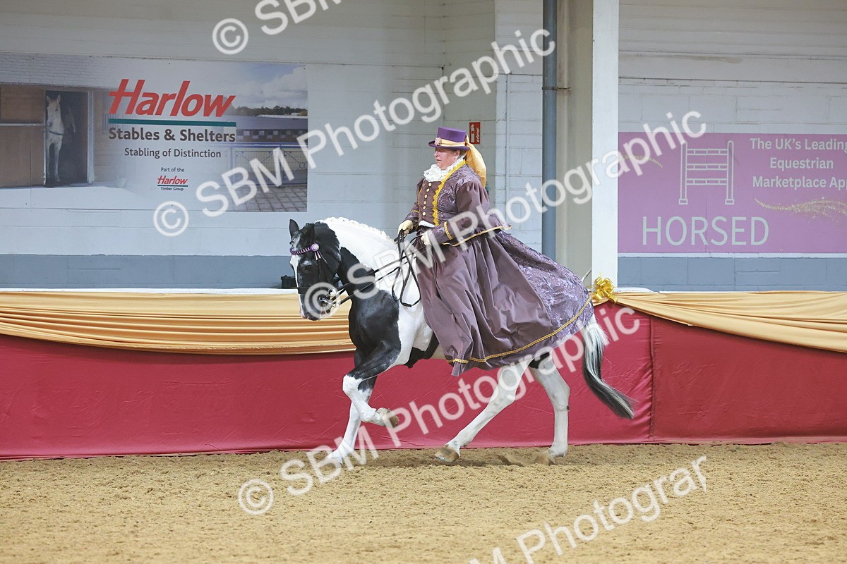 SBM_14792 - Class 108 - Ridden Costume - Astride Adult (20+)