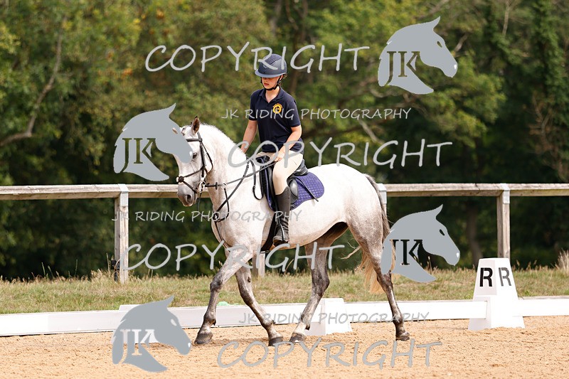 _R6A2551 - Dressage Morning