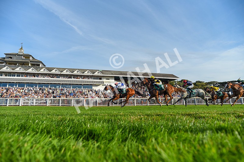 140826-Race 3-Equity Law-6609 - Race 3 18.43pm Heineken 0% Handicap