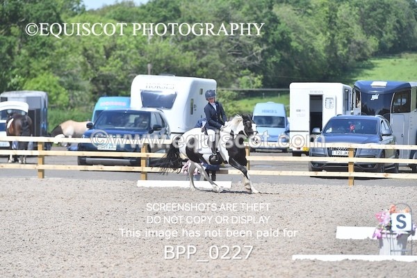 BPP_0227 - SHORT ARENA  MY QUEST PRELIM