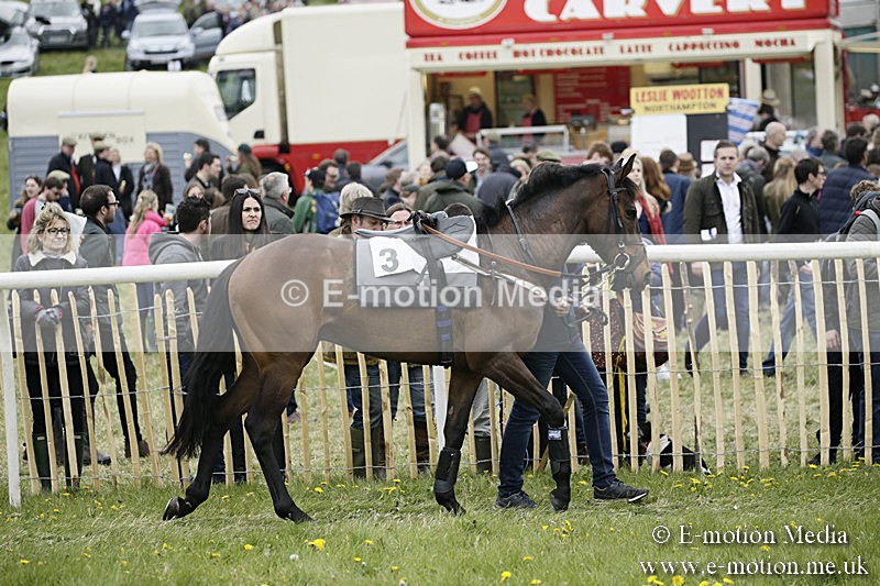 PtP 170417 466 - Old Berks Point-to-Point Lockinge 17/04/17