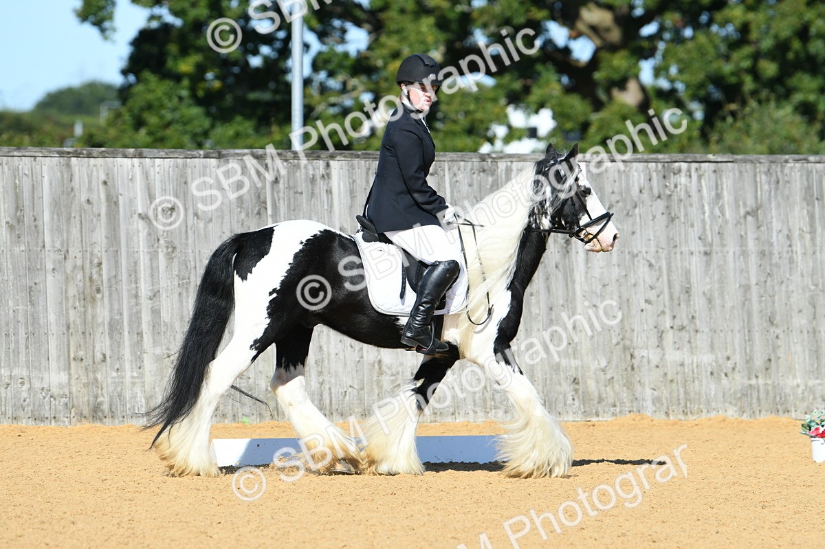 SBM_18060 - D4 - Small Tour Championship - Intro B