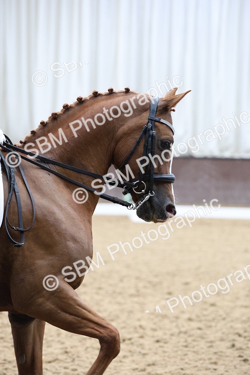 SBM_007523 - Class 23 - Medium FSM Bronze