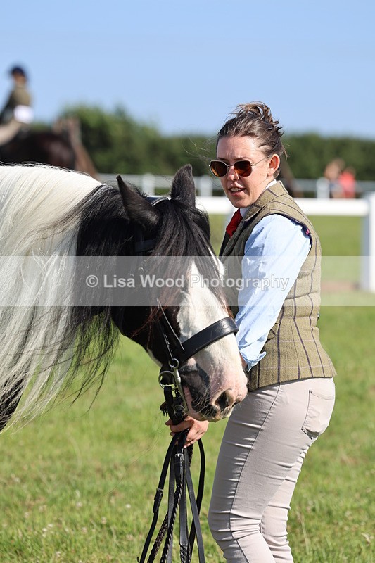 IMG_1574 - Class 30: Ridden Native/Trad Coloured Pony