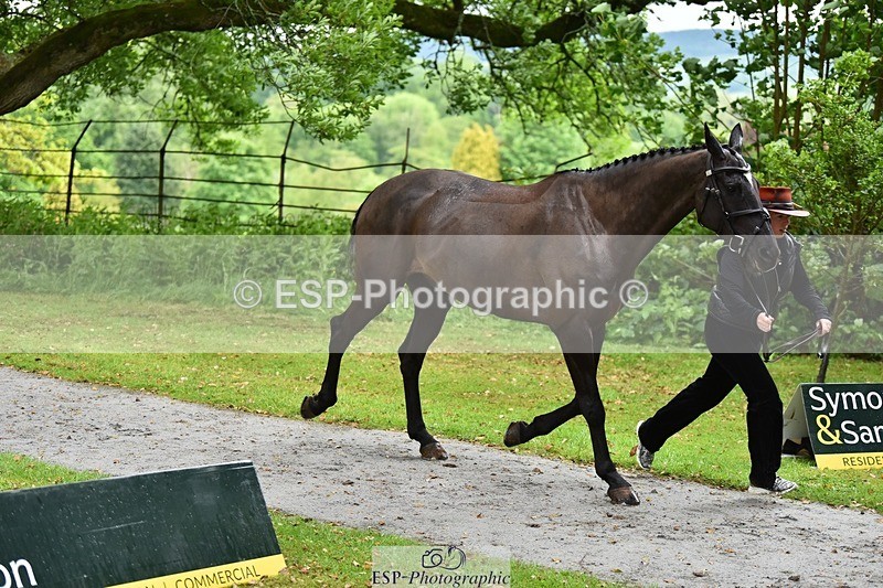 240522-155114-00532 - 101-MORELANDS_CASANOVA-Daisy_Bathe