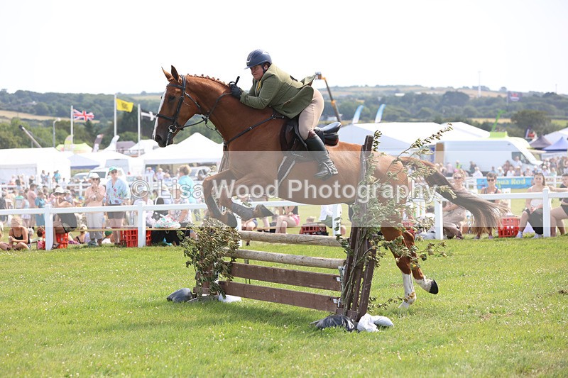JPP_3754 - Class 23: Working Hunter 80cm