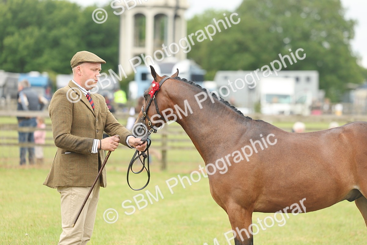 SBM_05419 - Class 68-73 - Riding Pony Breeding