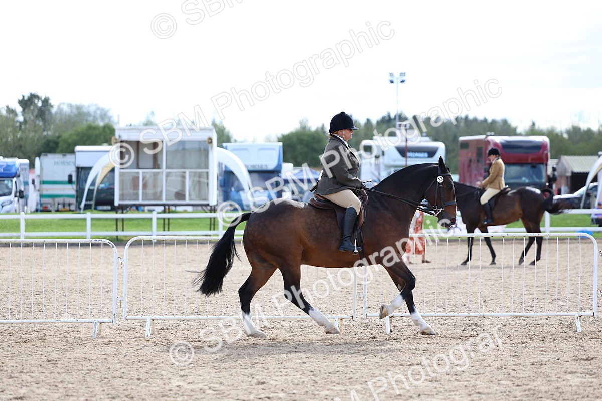 SBM_17135 - Class 315 - Best Horse - Rider Combination