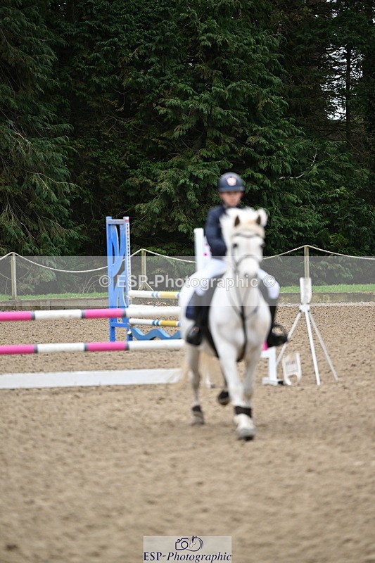 250201A-093448-00015 - Cls 01 Local Horse 90cm