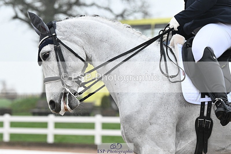 240217A-120414-02518 - 179-Sophie.Gregory-Lady.Lucydale