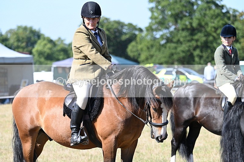 WJ7_3840 - Class 9 Mountain & Moorland Ridden