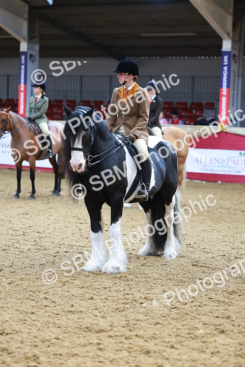 SBM_09850 - Class 102 - HOYS Veteran Qualifier - Ridden Veteran