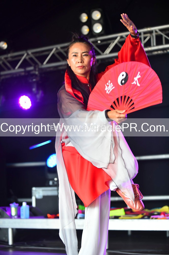 SH4_1658 - Tai Chi with Lisa Kay.