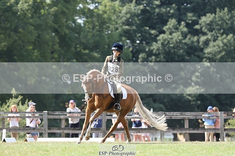 250823A-135607-31400 - Arena D