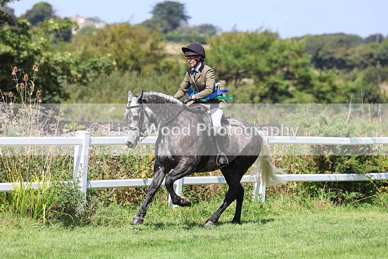 3E7A9238 - Working Hunter Championship