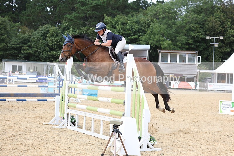 3E7A6524 - Class 9: Senior Foxhunter/1.20 open